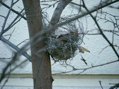 2011_01290004.JPG