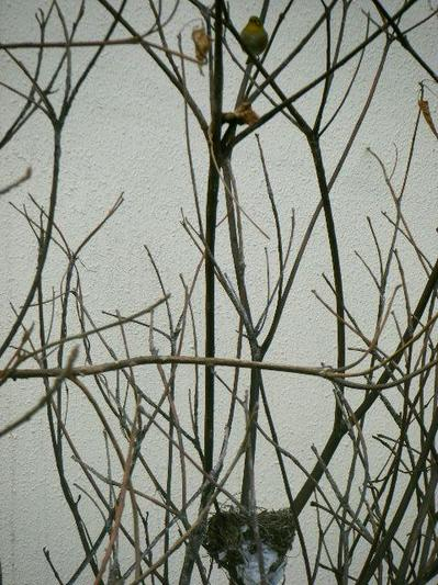2011_02050002.JPG