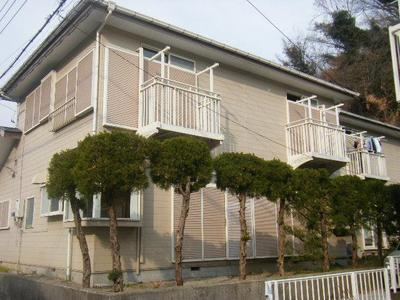 2011_02050006karizumai.JPG