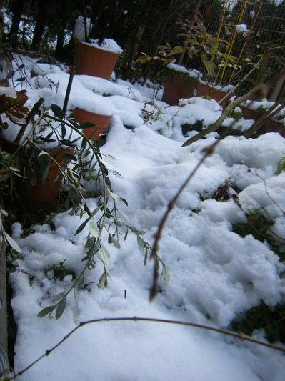 2011_02150009.JPG