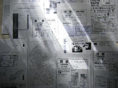 2011_03070006karizumai.JPG
