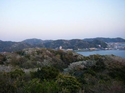 2011_04120011sanpo.JPG
