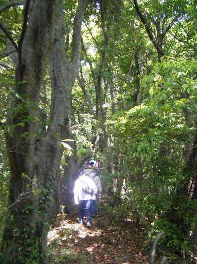 2011_06060021kunren.JPG