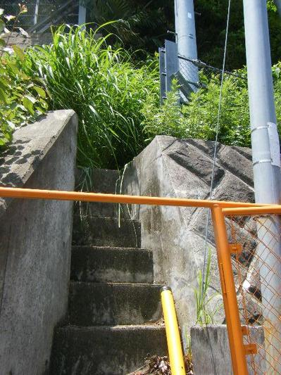 2011_06060032kunren.JPG