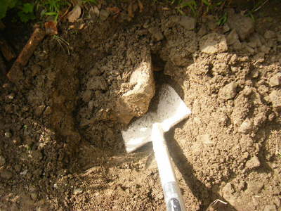 2011-hatsuri-2.JPG