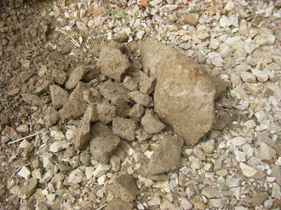 2011-hatsuri-3.JPG