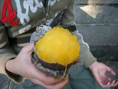 2012donto-13.JPG