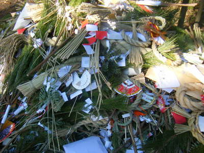 2012donto-3.JPG