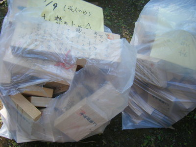 2012donto-4.JPG