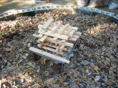 2012donto-6.JPG