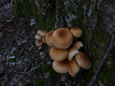2014hakuba (14).JPG