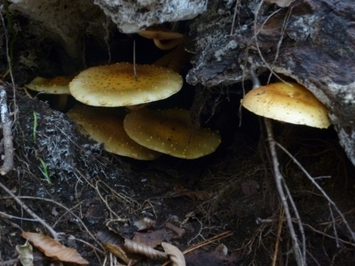 2014hakuba (30).JPG