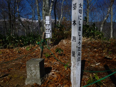 2015kinokogari (36).JPG