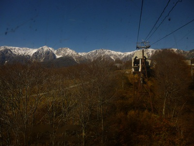 2015kinokogari (37).JPG