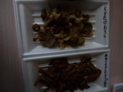 2015kinokogari (42).JPG