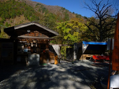 2015kinokogari (44).JPG