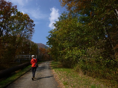 2015kinokogari (4).JPG