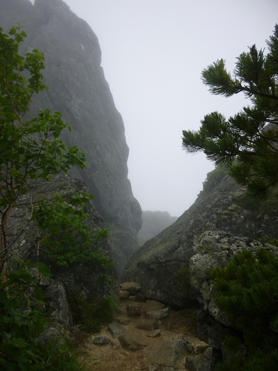 20170729tsubakuro-jonen-day1 (36).JPG