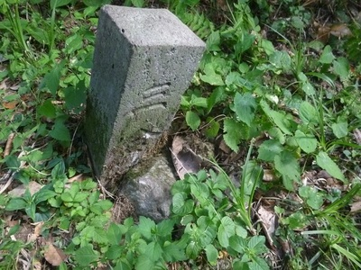2018hakkaisan2 (29).JPG