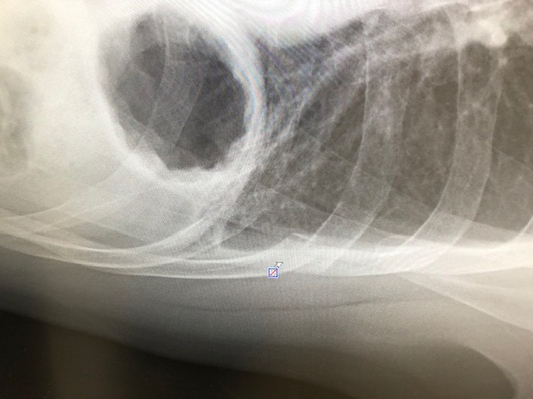 20191103mujicamp (2).jpg