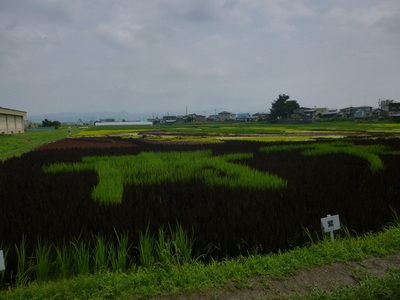 aomori2015 (2).JPG