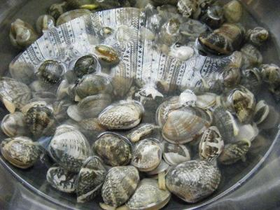 asari2010_07120028.JPGのサムネール画像