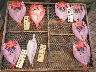 atami2011_10110031.JPG