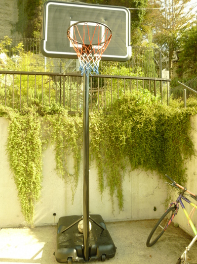basketgoal2013 (4).JPG