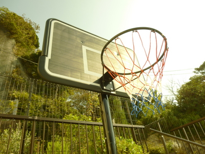 basketgoal2013 (5).JPG