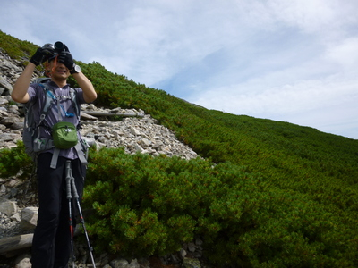 chougatake20140907 (18).JPG