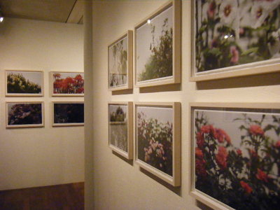 fujioka13-2.JPG