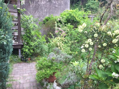 garden2018gw (9).JPG