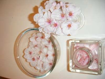 hanami2013-4.JPG