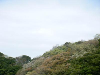 haruyama2011_04100007.JPG