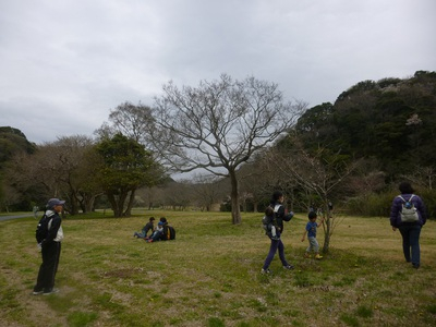 hiking201604 (8).JPG