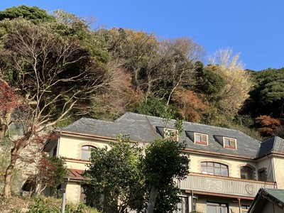 hondatei (1).jpg