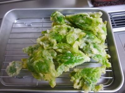 hukinotou2014 (2).JPG