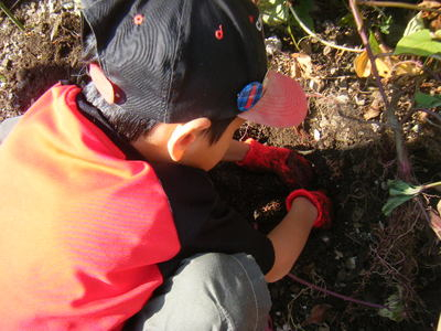 imohori2012-2.JPG