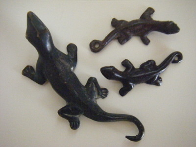 indonesia-omiya-gekko (1).JPG