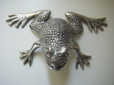indonesia-omiya-kaeru.JPG