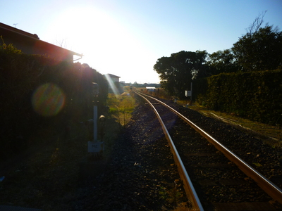 kisarazu201401 (4).JPG