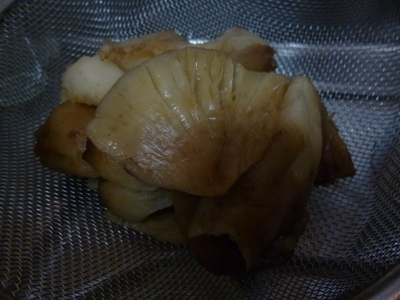 mukidake2014 (2).JPG