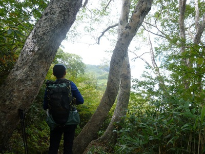 myoukou2016-2 (1).JPG