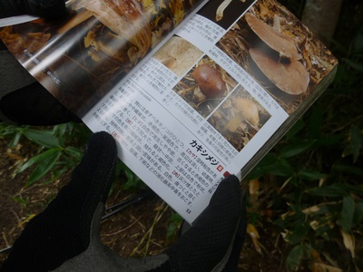 myoukou2016-2 (43).JPG