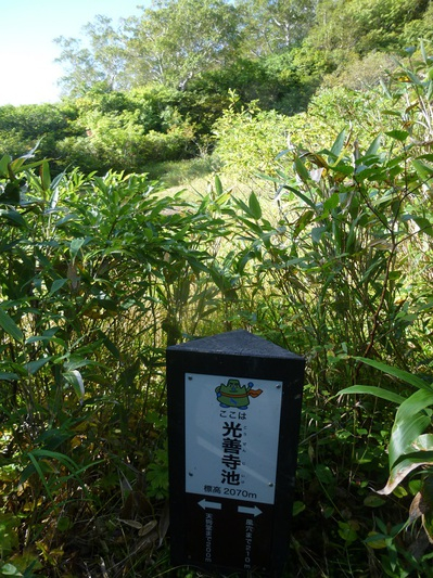 myoukou 2016 (23).JPG