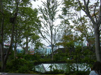 omohara2012-2.JPG
