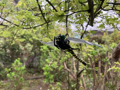 oniyanma (2).jpg
