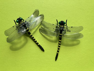 oniyanma (3).jpg