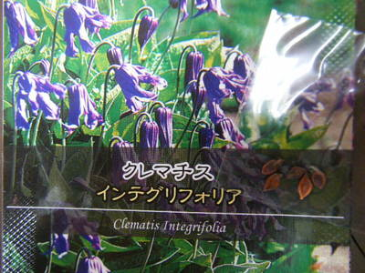 seed2013-2.JPG