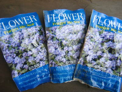 seed2013-3.JPG